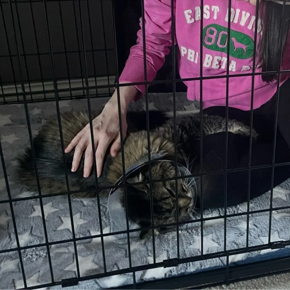 NWT Xersion Workout Tank - Picture 3 of 8